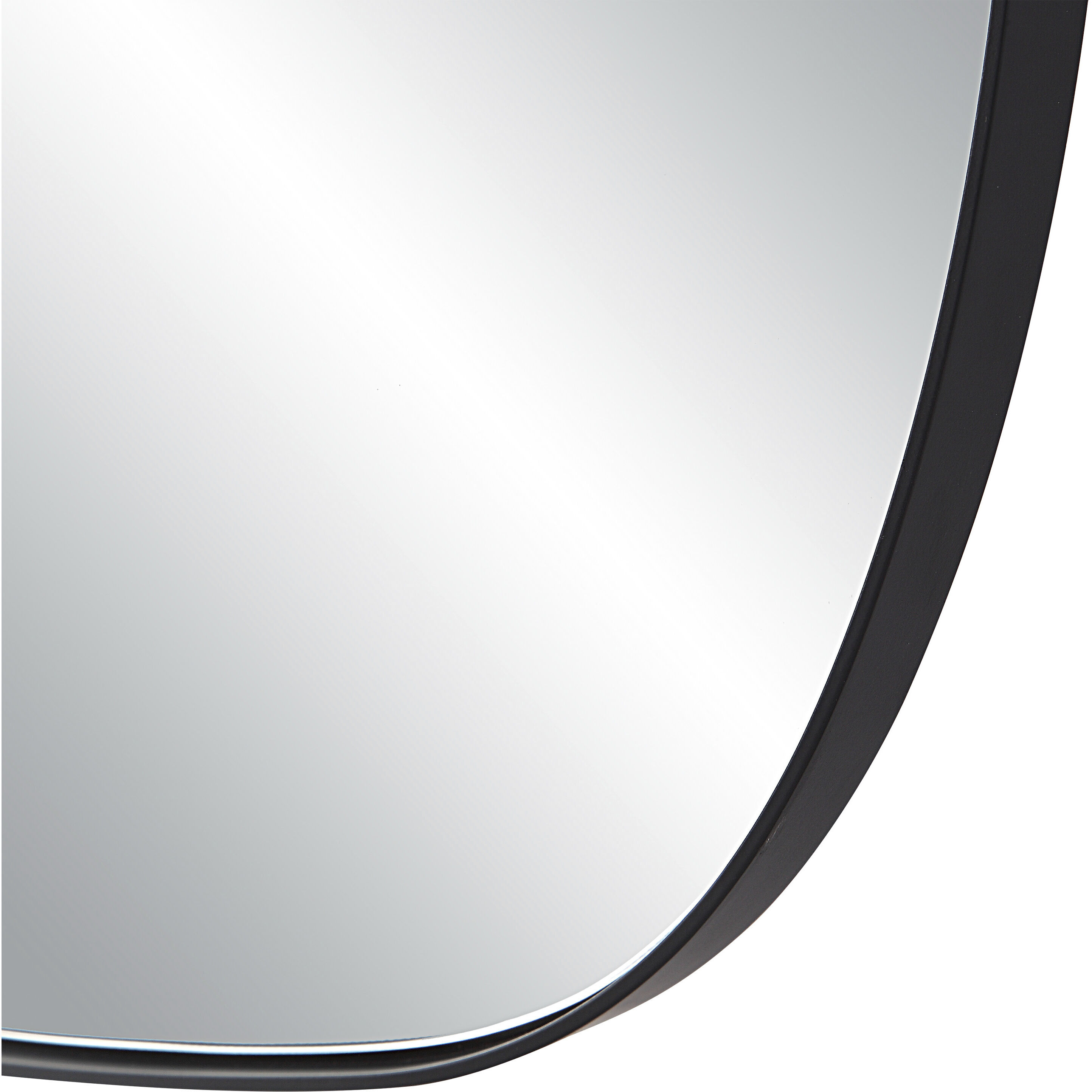 Almandine 72 X 30 inch Matte Black Wall Mirror