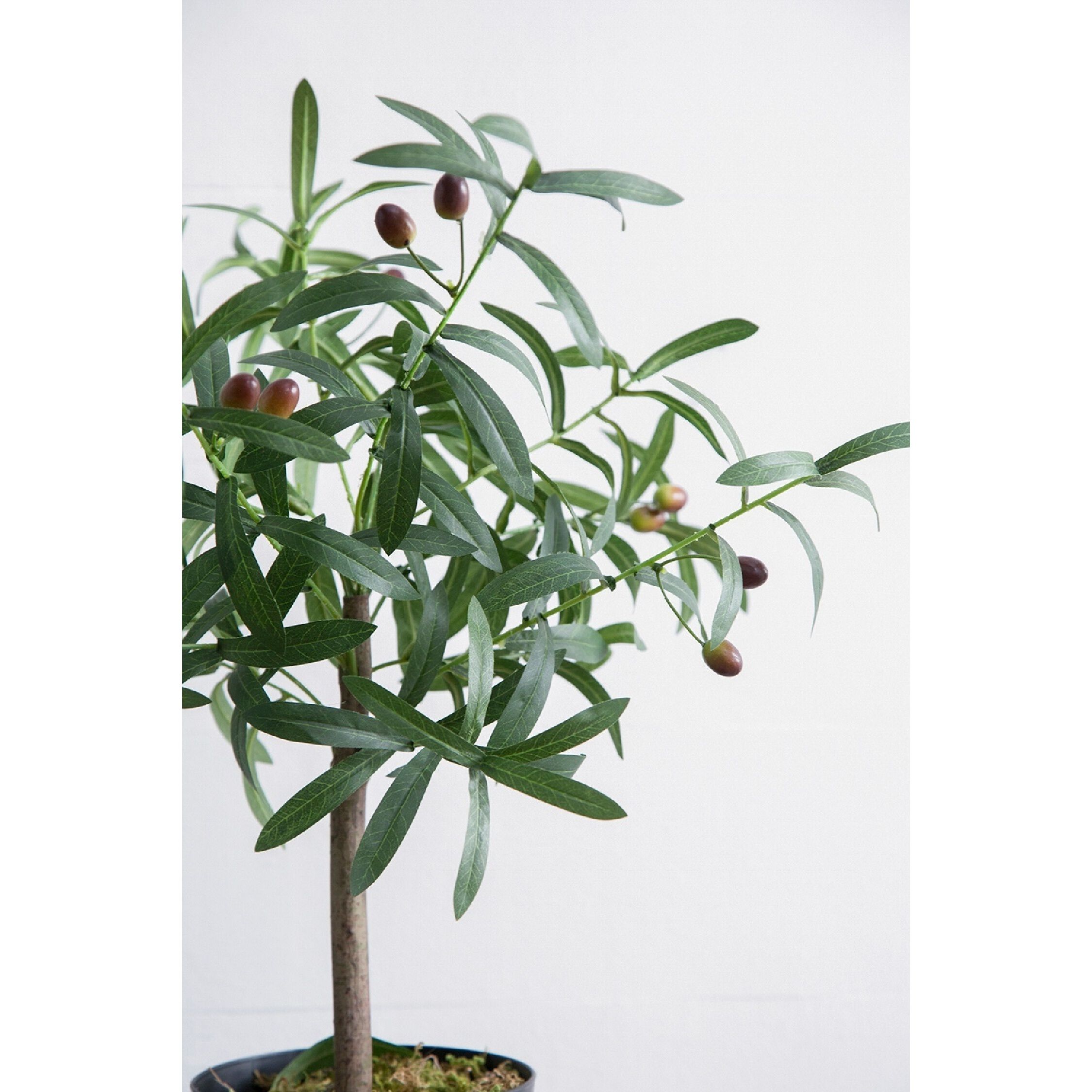 Olive Tree Green and Black Faux Plant