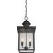 Newberry 2 Light 9 inch English Bronze Outdoor Hanging Lantern