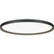 Bina LED 16 inch Black Surface Mount Ceiling Light