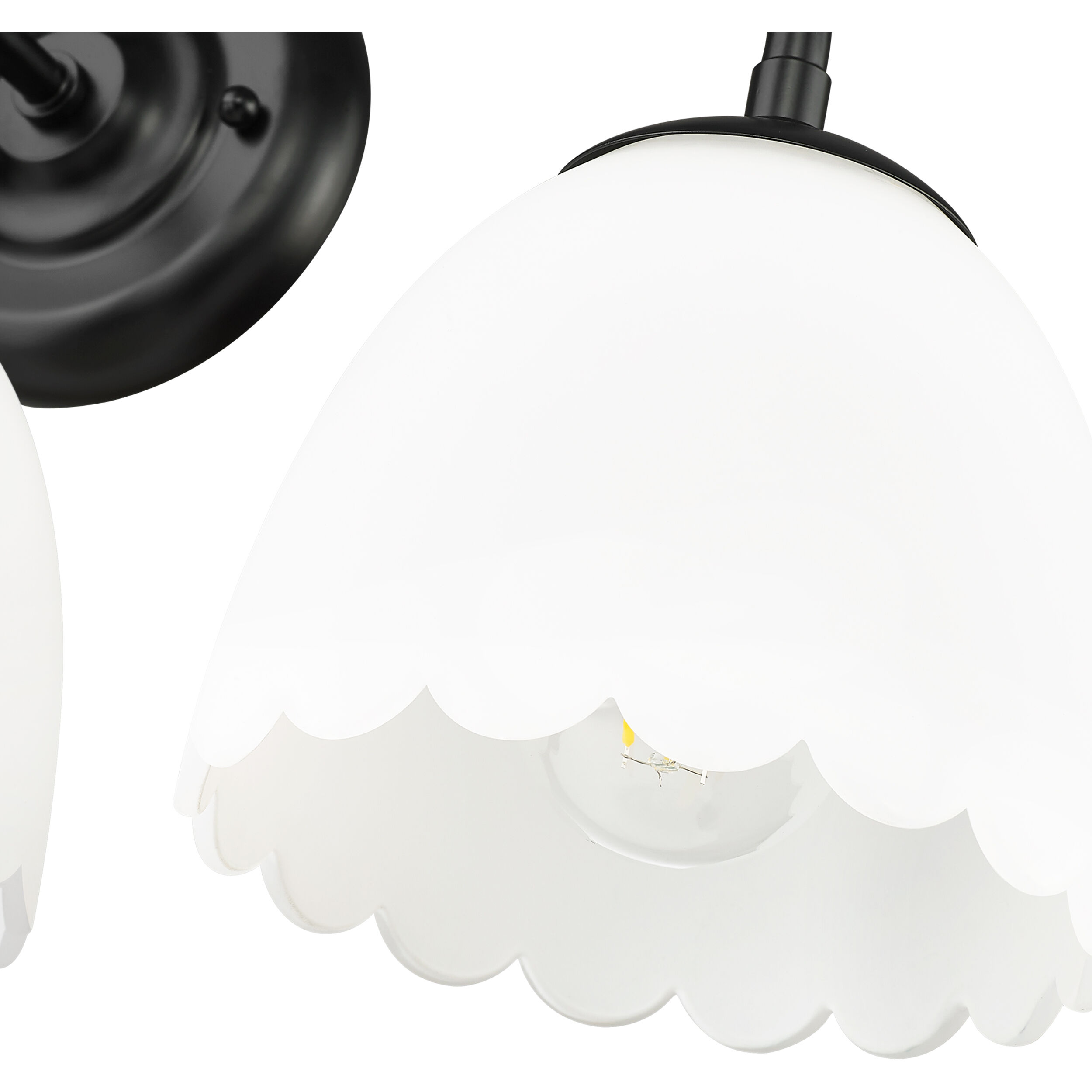 Dorinda Vanity Wall Light in Matte Black