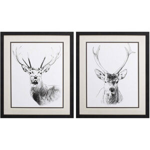 Animals Black and White Framed Art