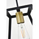 Resolute 1 Light 9 inch Brass and Black Pendant Ceiling Light