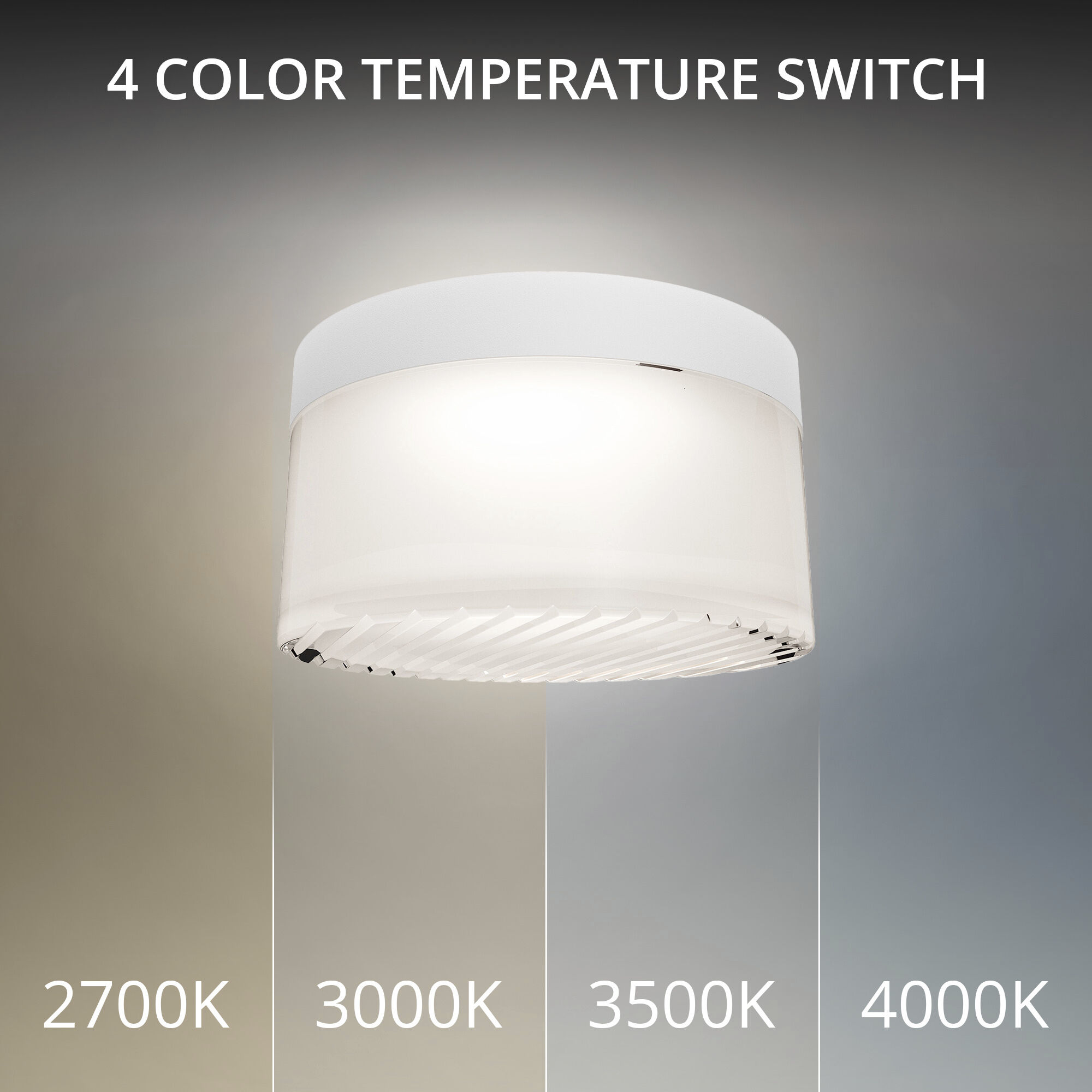 Balto III LED 5.38 inch White Outdoor Flush Mount, dweLED