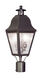 Amwell 2 Light 8.50 inch Post Light & Accessory