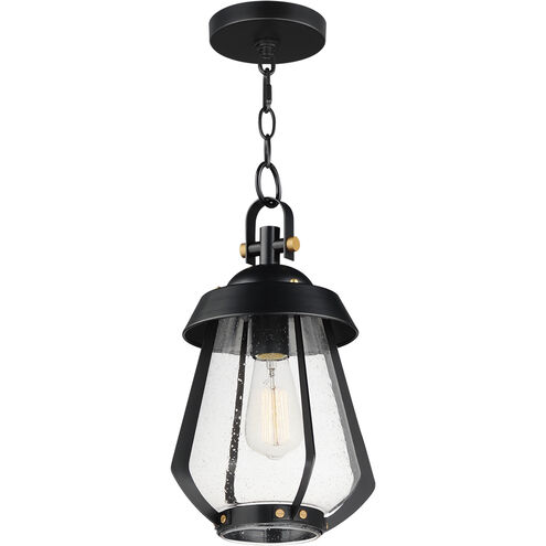 Mariner 1 Light 7.5 inch Black with Antique Brass Outdoor Pendant, Medium