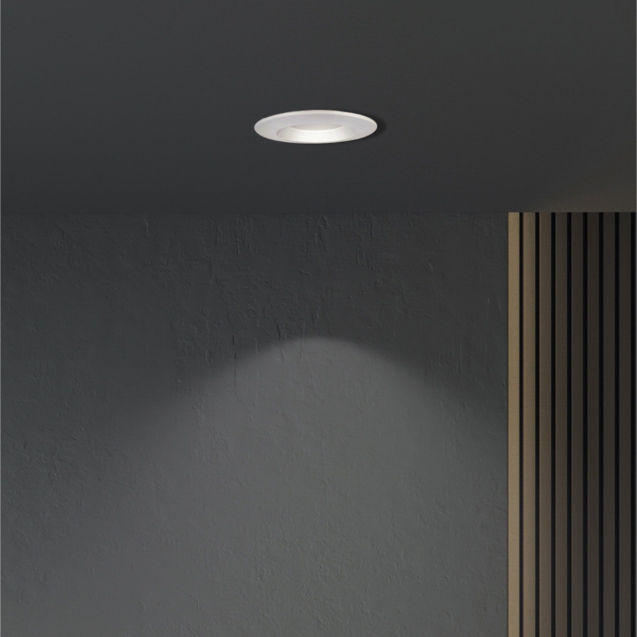 Accessories Integrated LED White Retro Fit Recessed Light