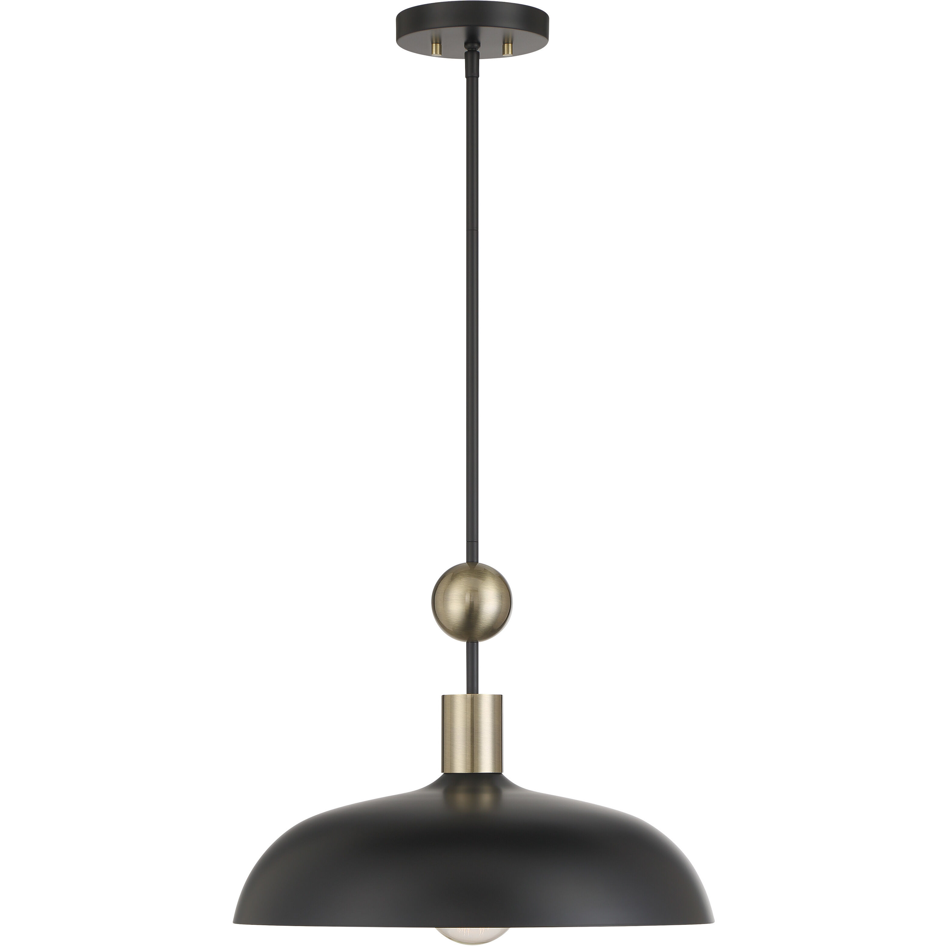 Biloxi 1 Light 17.75 inch Coal And Weathered Antique Brass Pendant Ceiling Light