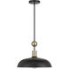 Biloxi 1 Light 17.75 inch Coal And Weathered Antique Brass Pendant Ceiling Light