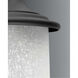 Essential Outdoor Wall Lantern in Black, Medium