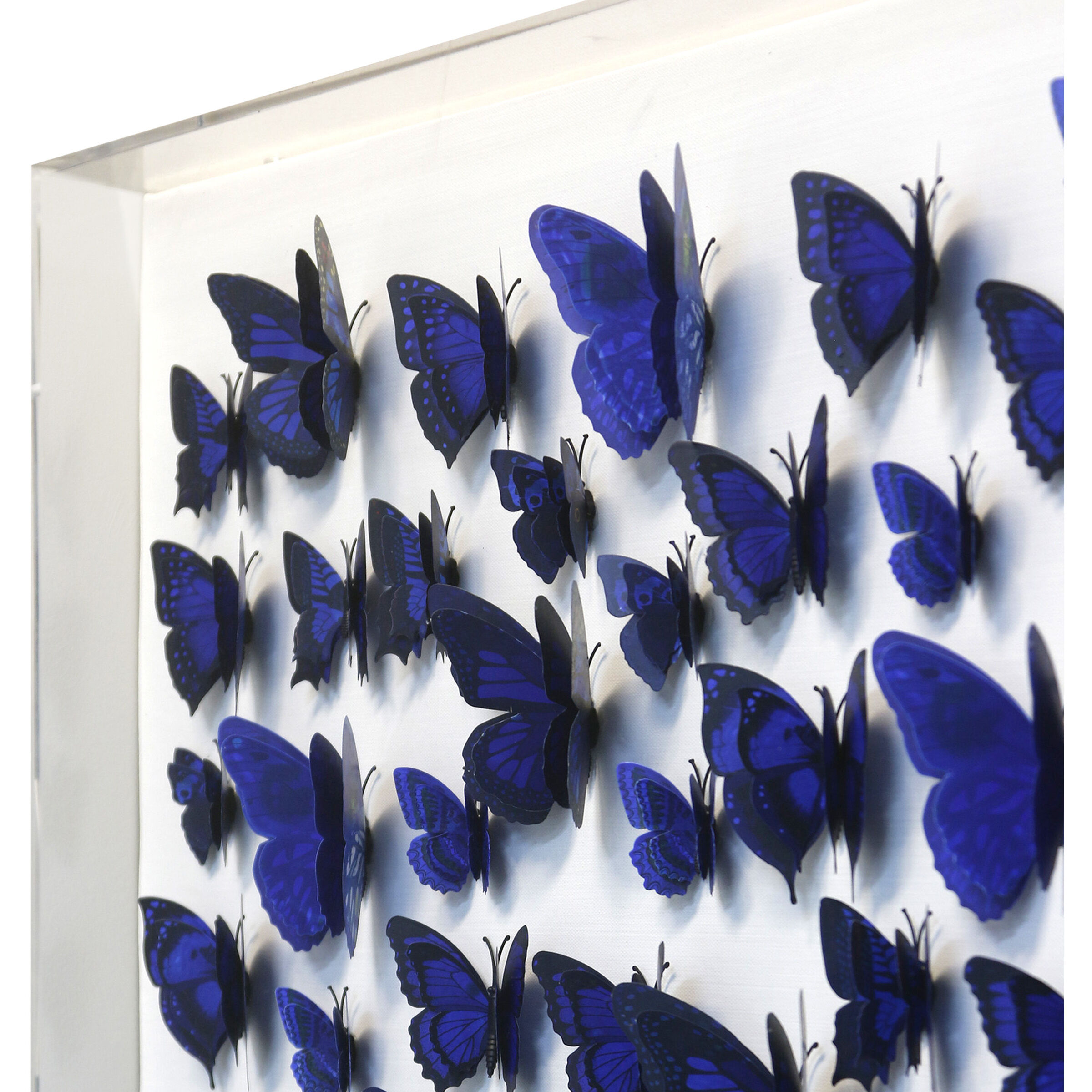 Papillon Cobalt Blue Wall Art