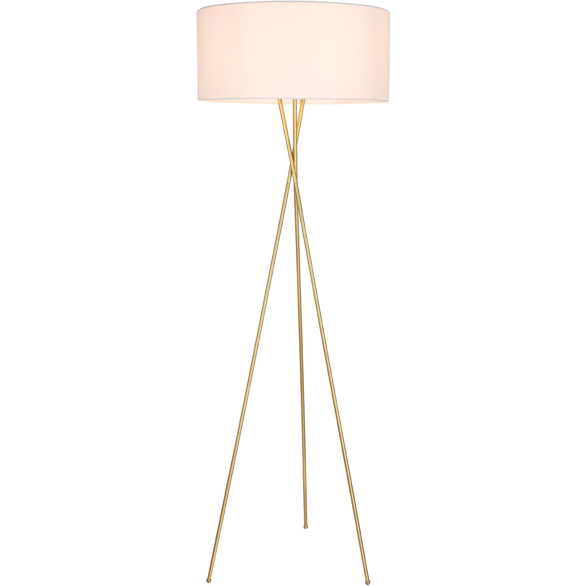 Cason 66 inch 60 watt Brass Floor lamp Portable Light