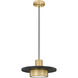 Ludo LED 12 inch Matte Black and Modern Gold Pendant Ceiling Light