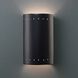 Ambiance Collection LED 9.5 inch Carbon Matte Black Outdoor Wall Sconce