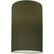 Ambiance Outdoor Wall Sconce
