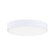 Trim 1 Light 5.00 inch Flush Mount