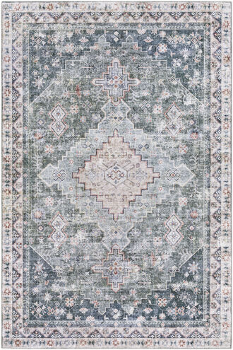 Regen 60 X 36 inch Light Grey Rug, Rectangle