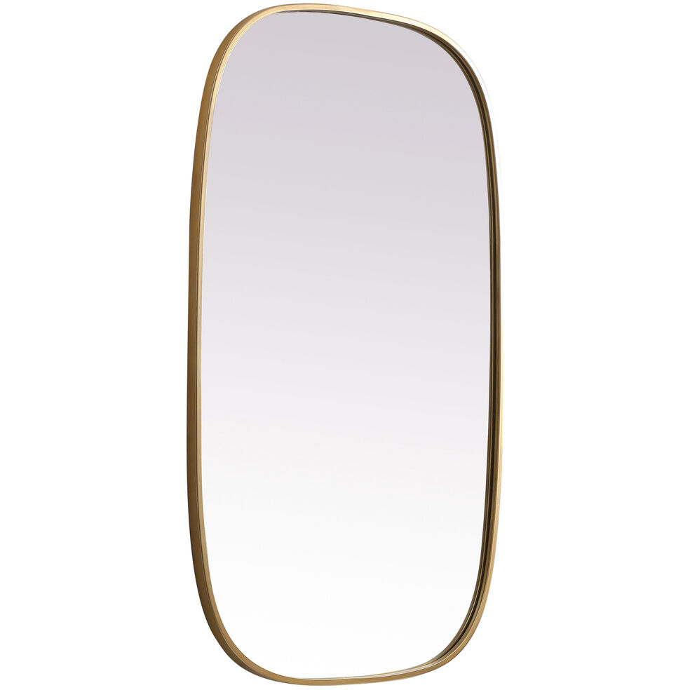 Brynn 40 X 24 inch Brass Mirror in 24 x 40