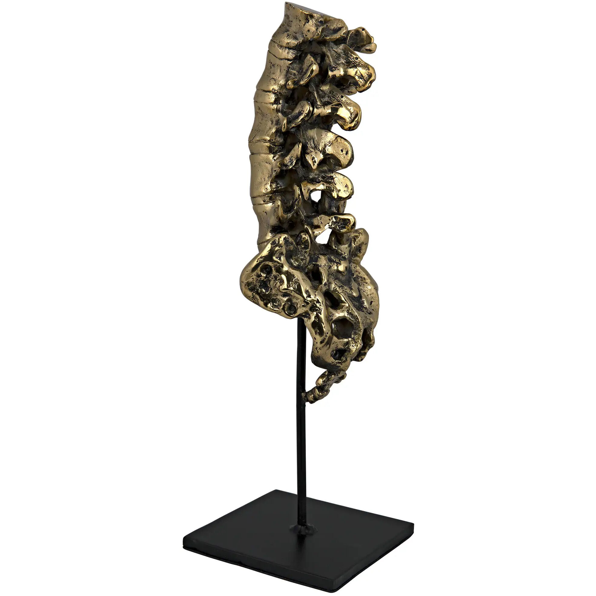 Vertebrae Brass Decor Accessory