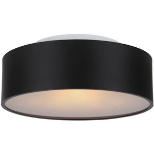 Dexter 2 Light 13.00 inch Flush Mount