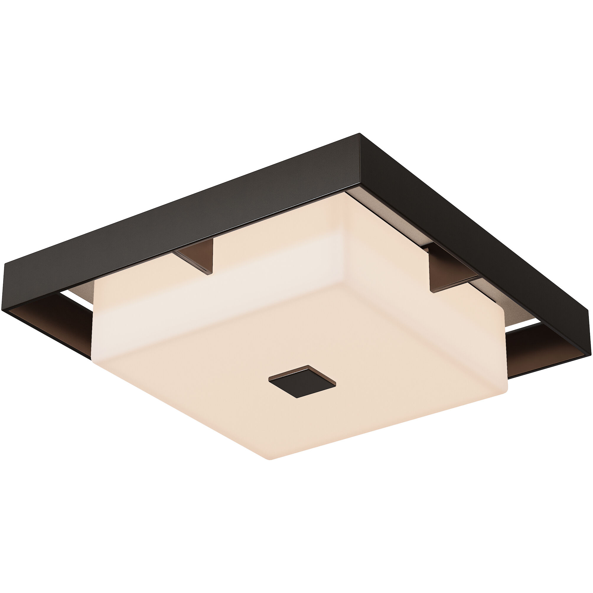 Shadow Box 2 Light 12 inch Oil Rubbed Bronze and Coastal Burnished Steel Outdoor Flush Mount in Coastal Oil Rubbed Bronze/Coastal Burnished Steel, Small