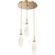 Fiori LED 16.5 inch Novel Brass Chandelier Ceiling Light, Round Multi-Port
