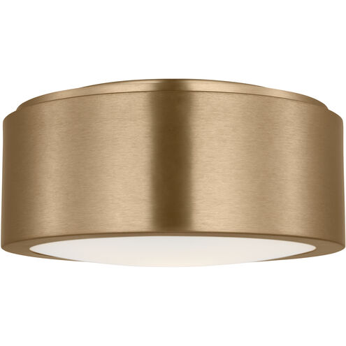 Albee 1 Light 10 inch Satin Brass Flush Mount Ceiling Light, Small