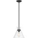 Amarella 1 Light 10 inch Matte Black Pendant Ceiling Light