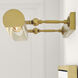C&M by Chapman & Myers Kenyon 120 watt 30 inch Burnished Brass Picture Light Wall Light