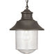 Weldon 1 Light 10 inch Architectural Bronze Outdoor Hanging Lantern