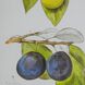 Smithsonian Black and Green/Yellow Wall Art, Assorted Fruit