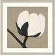 Delicate Sketch White and Beige and Black and Neutral Framed Art