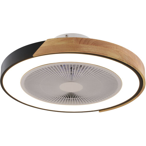 Everette 20 inch Matte Black with Clear Blades Ceiling Fan, DC Motor