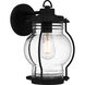 Luther Outdoor Wall Lantern, Medium