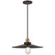 Bulstrode's Workshop 1 Light 14 inch Aged Gold Brass Pendant Ceiling Light in Aged Gold Brass and Black