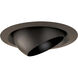 Recessed Lighting PAR30 Antique Bronze Recessed Eyeball Trim