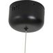 LTY Series LED 1.6 inch Matte Black Chandelier Ceiling Light