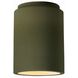 Radiance LED 6.5 inch Matte Green Outdoor Flush Mount