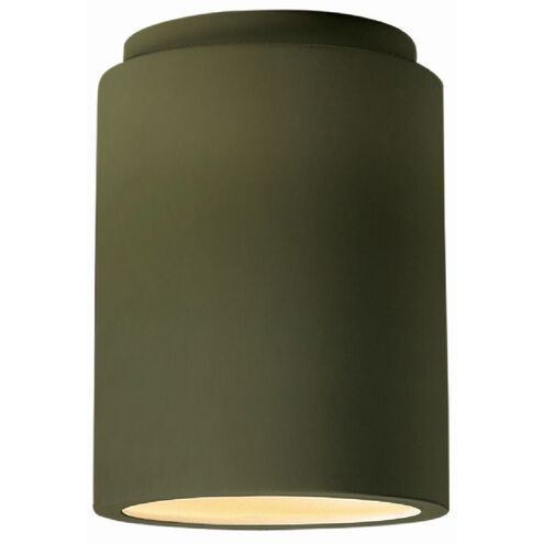 Radiance LED 6.5 inch Matte Green Outdoor Flush Mount