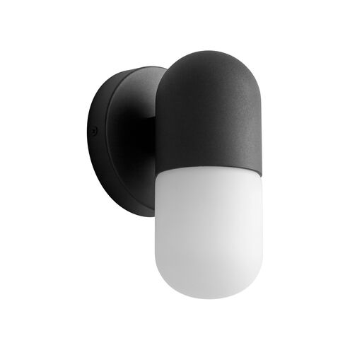 Corpus 1 Light 8 inch Black Outdoor Wall Sconce