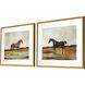 Animals Collection Multi Framed Art