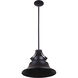 Union LED 8 inch Midnight Pendant Ceiling Light