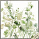 Sage Garden Green Canvas, Propac