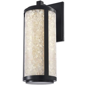 Great Outdoors Salt Creek LED 32.25 inch Coal Outdoor Wall Sconce