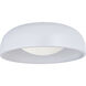 Lynx 1 Light 17.00 inch Flush Mount