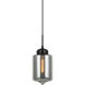 Irresistible Organic Charm 1 Light 7.13 inch Smoke Pendant Ceiling Light