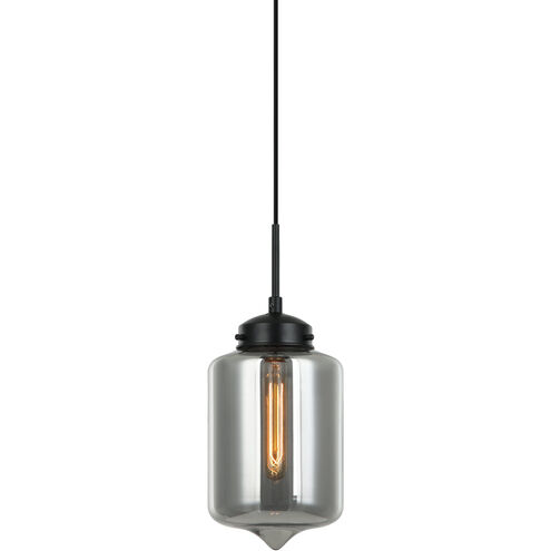 Irresistible Organic Charm 1 Light 7.13 inch Smoke Pendant Ceiling Light