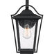 Darius 1 Light 15 inch Earth Black Outdoor Wall Light