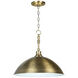 Timarron 1 Light 20.00 inch Pendant