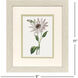Tropical Botanical II Green and Pink and White Framed Art, Propac